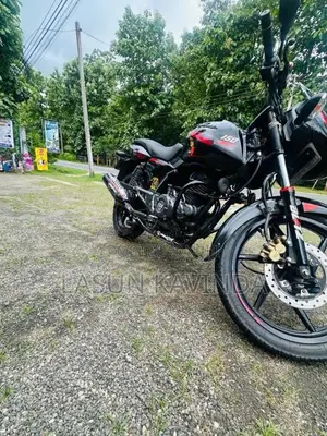 Bajaj Pulsar 150 2019 Motorbike (Used)