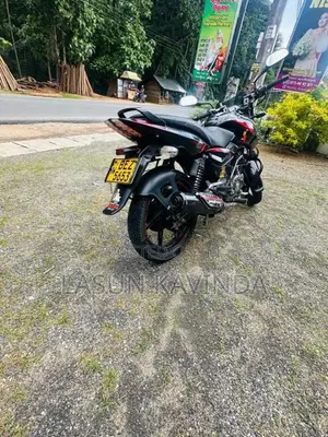 Bajaj Pulsar 150 2019 Motorbike (Used)
