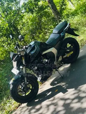 Yamaha Fazer 2017 Motorbike (Used)