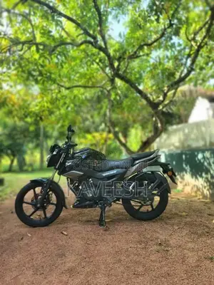 TVS Raider 125 2025 Motorbike (Used)