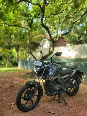 TVS Raider 125 2025 Motorbike (Used)