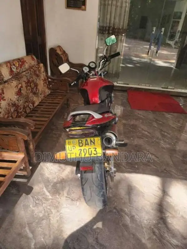 Honda Hornet 1999 Motorbike (Used)