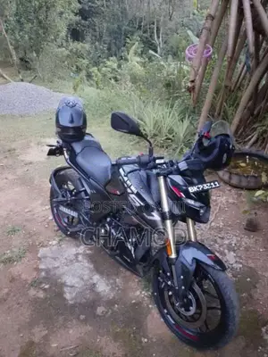 Bajaj Pulsar N160 Prieum 2026 Motorbike (Used)