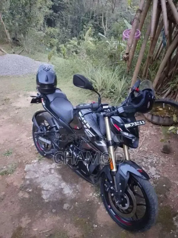 Bajaj Pulsar N160 Prieum 2026 Motorbike (Used)
