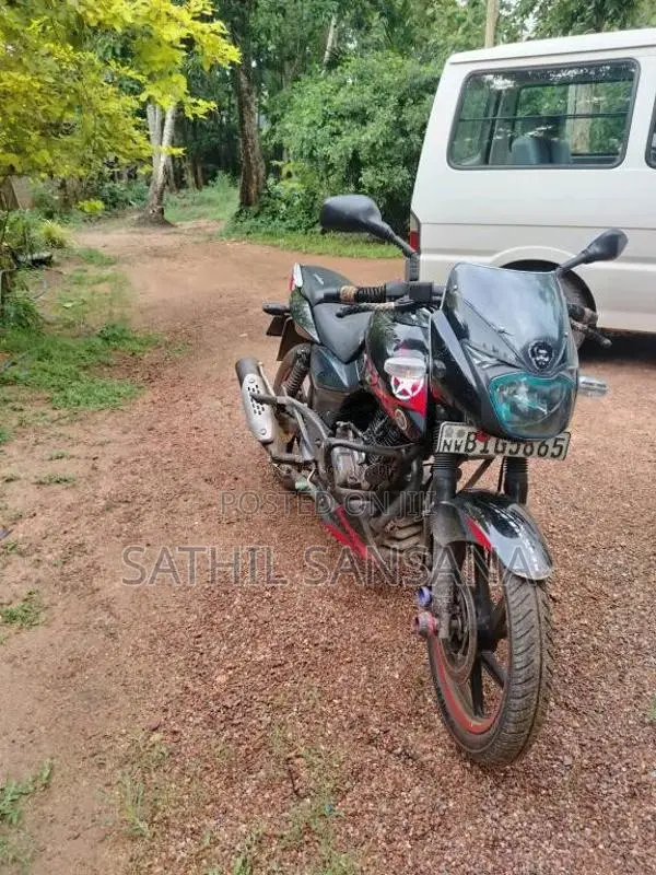 Bajaj Pulsar 2019 Motorbike (Used)
