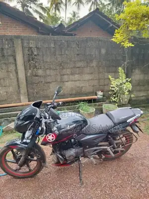 Bajaj Pulsar 2019 Motorbike (Used)