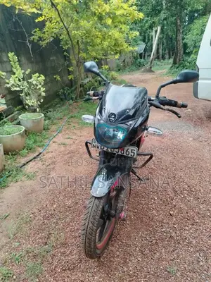 Bajaj Pulsar 2019 Motorbike (Used)