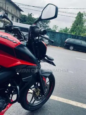 Bajaj Pulsar NS 160 2019 Motorbike (Used)