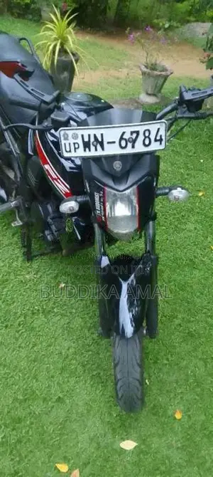 Yamaha Fz 2011 Motorbike (Used)