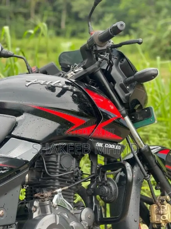 Bajaj Pulsar 150 2019 Motorbike (Used)