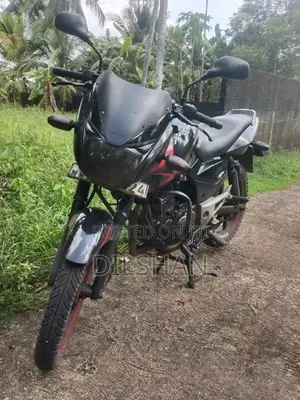 Bajaj Pulsar 150 2009 Motorbike (Used)
