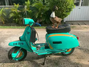 Vespa GP150 1980 Motorbike (Used)