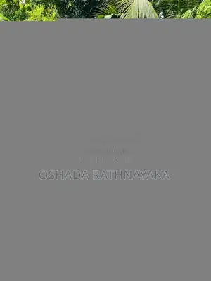 Honda Dio 2016 Motorbike (Used)