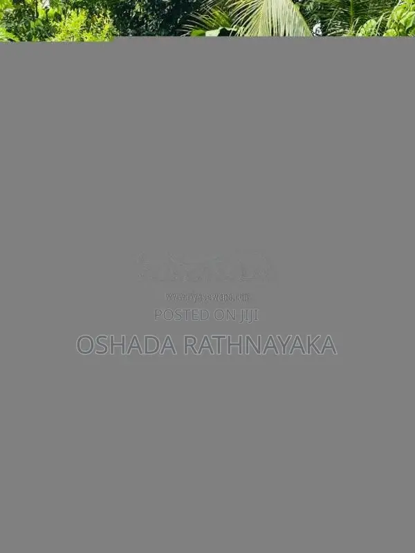 Honda Dio 2016 Motorbike (Used)