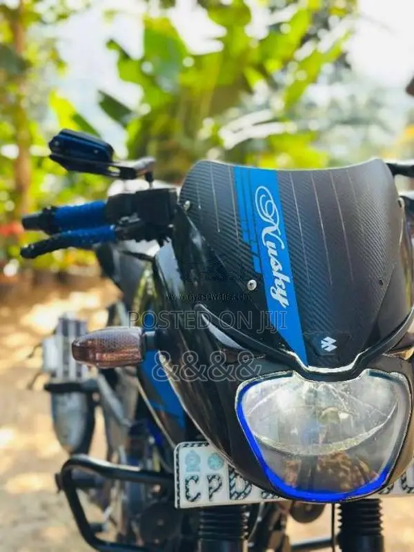 Bajaj Pulsar 150 2019 Motorbike (Used)