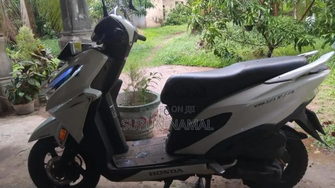 Honda Grazia 2019 Motorbike (Used)