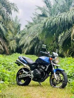 Honda Hornet 2007 Motorbike (Used)