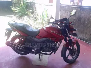 Hero Hunk 2016 Motorbike (Used)
