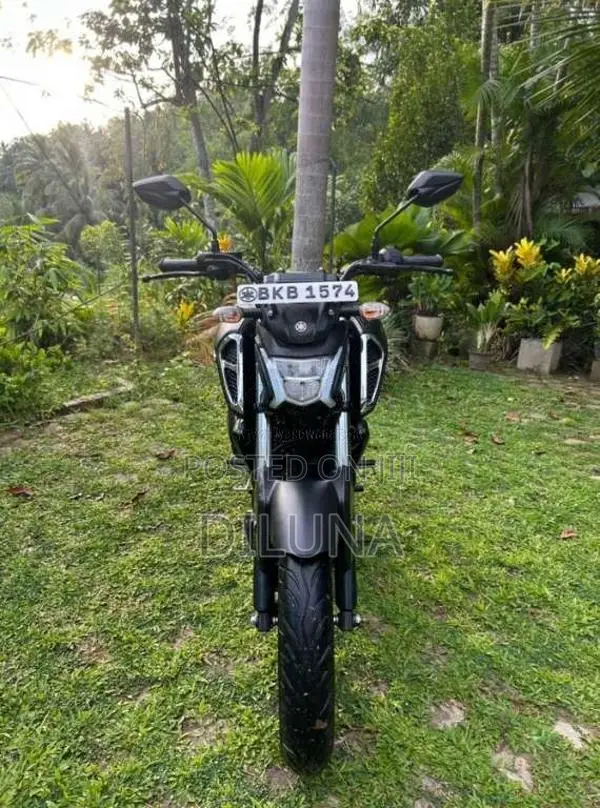 Yamaha Fz V4 2025 Motorbike (Used)