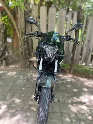 Bajaj Pulsar NS200 2020 Motorbike (Used)