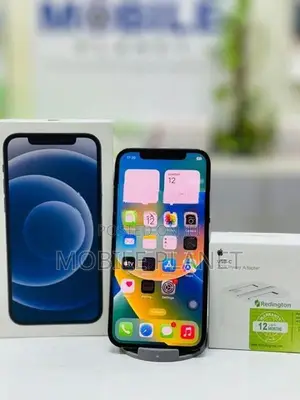 Apple iPhone 12 5G 256GB (Used)