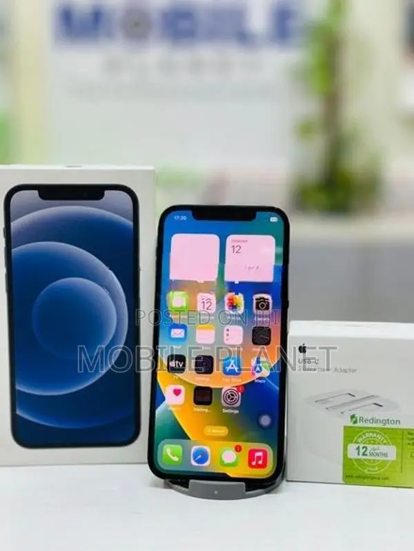 Apple iPhone 12 5G 256GB (Used)