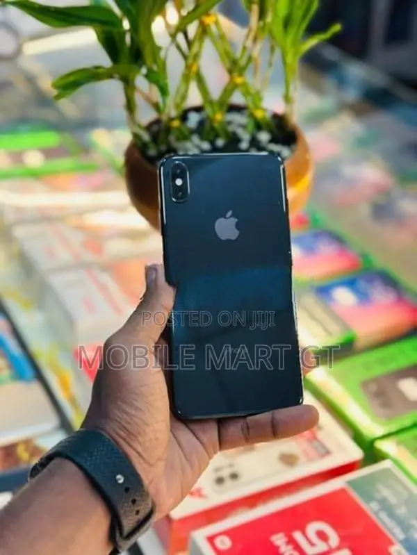 Apple iPhone XS Max 256GB (Used)