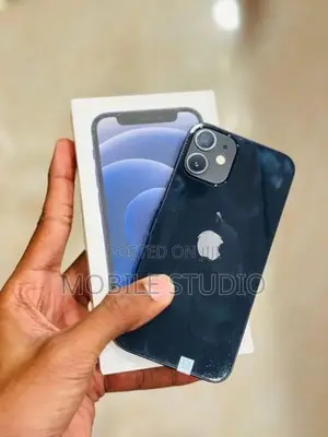 Apple iPhone 12 mini (Used)