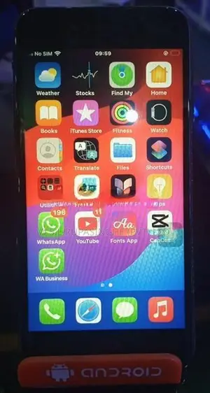 Apple iPhone SE (Used)