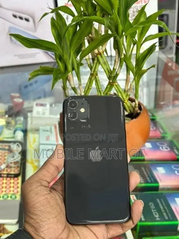 Apple iPhone 11 128GB (Used)
