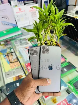 Apple iPhone 11 Pro Max (Used)