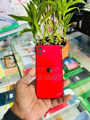 Apple iPhone 11 (Used)