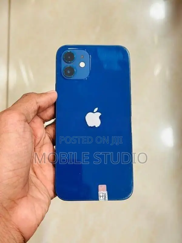 Apple iPhone 12 (Used)