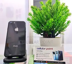 Apple iPhone 8 (Used)