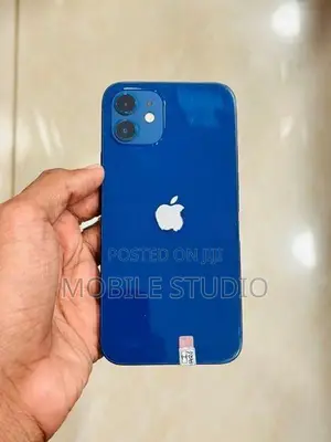 Apple iPhone 12 (Used)
