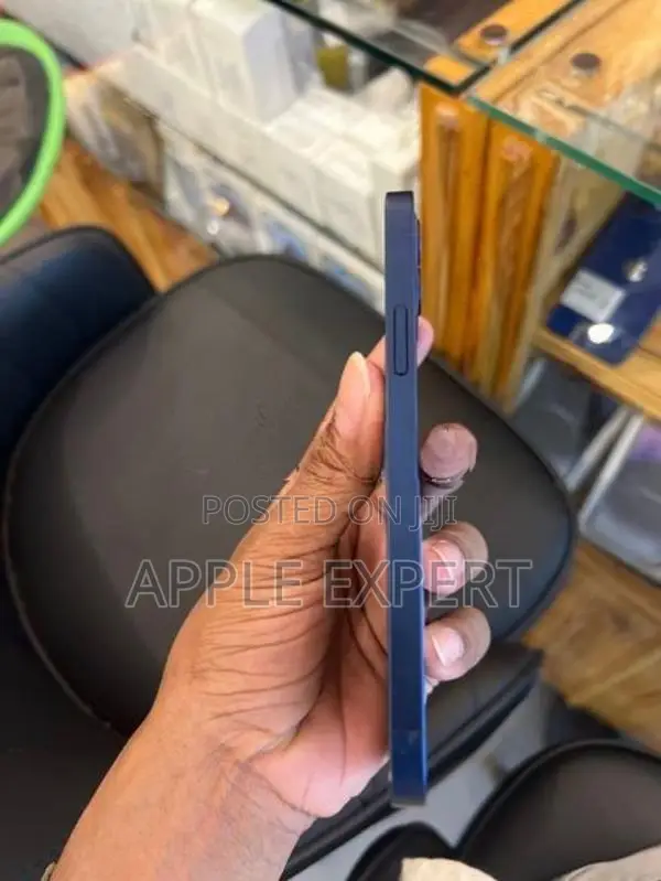 Apple iPhone 12 (Used)