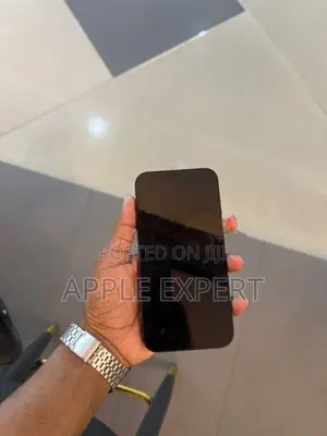 Apple iPhone 12 (Used)