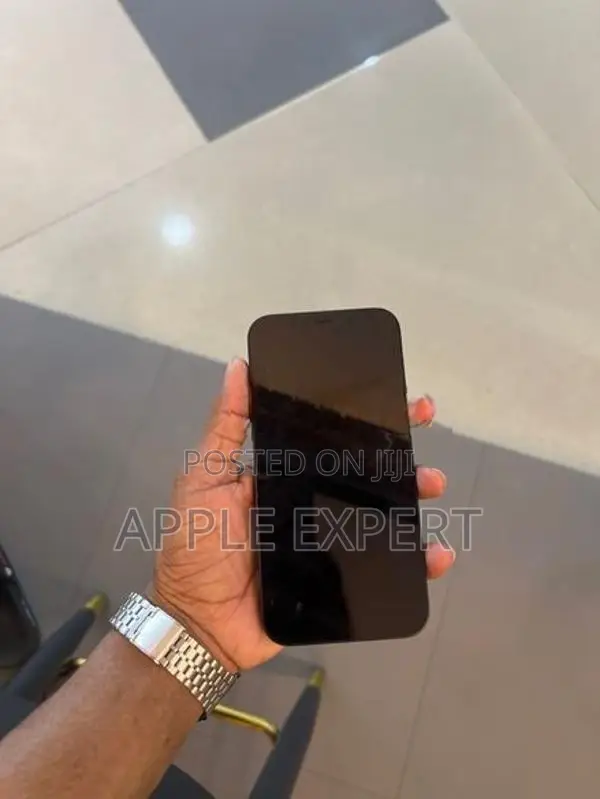 Apple iPhone 12 (Used)