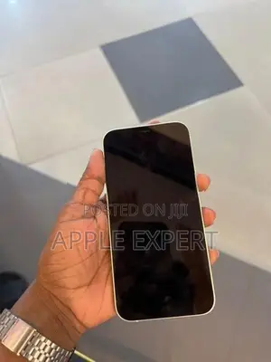 Apple iPhone 12 (Used)