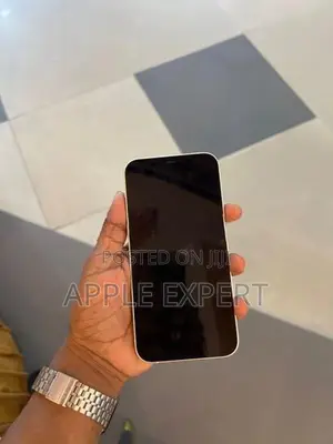 Apple iPhone 12 (Used)