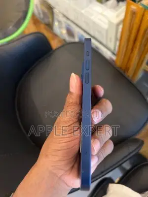 Apple iPhone 12 (Used)