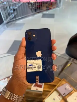 Apple iPhone 12 (Used)