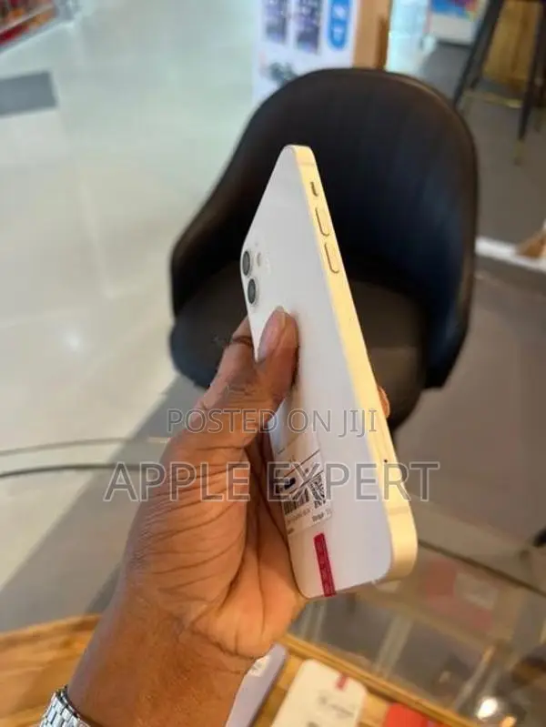 Apple iPhone 12 (Used)