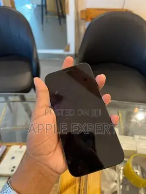 Apple iPhone 12 (Used)