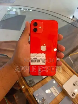 Apple iPhone 12 (Used)