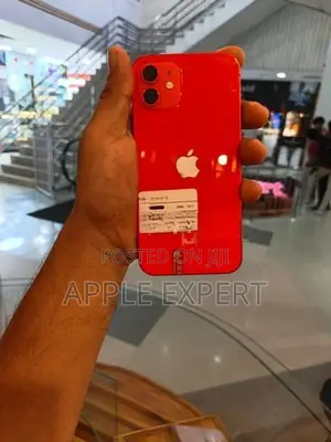 Apple iPhone 12 (Used)