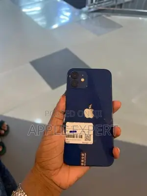 Apple iPhone 12 (Used)