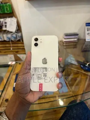 Apple iPhone 12 (Used)