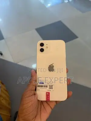 Apple iPhone 12 (Used)