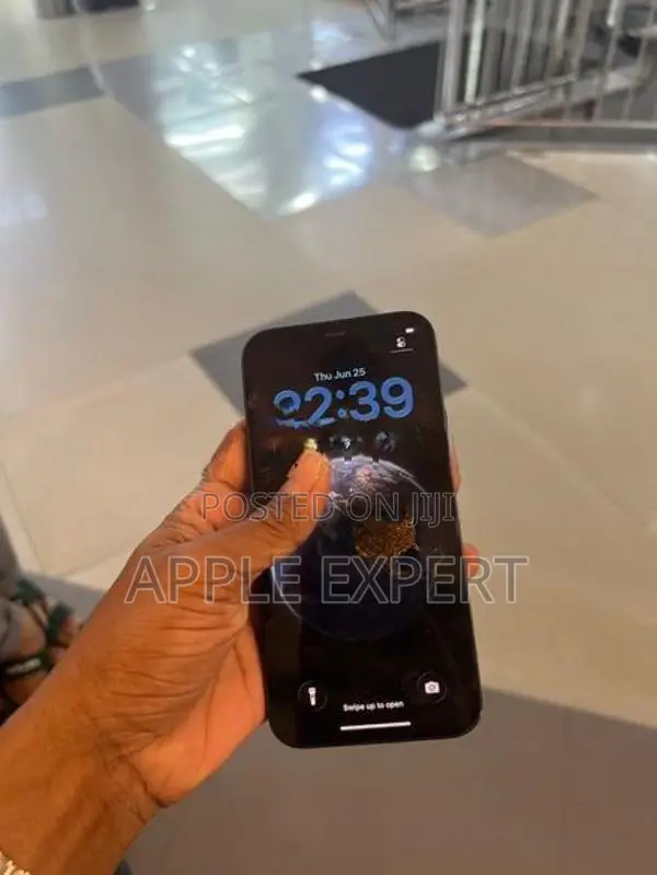 Apple iPhone 12 (Used)